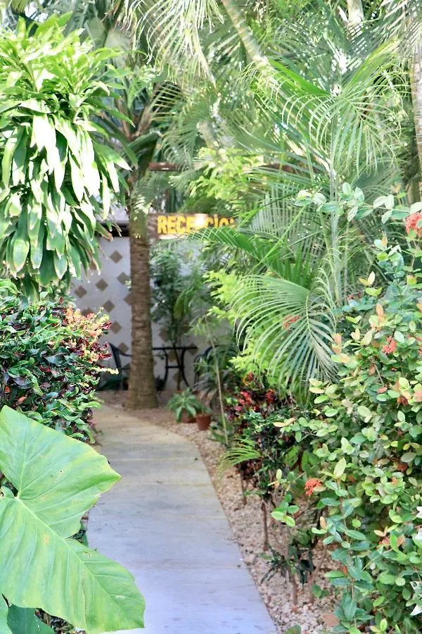 Appartamento 10 Avenue, 1 Min Walking To The 5 Av & Beach Suite 4 Playa del Carmen Messico