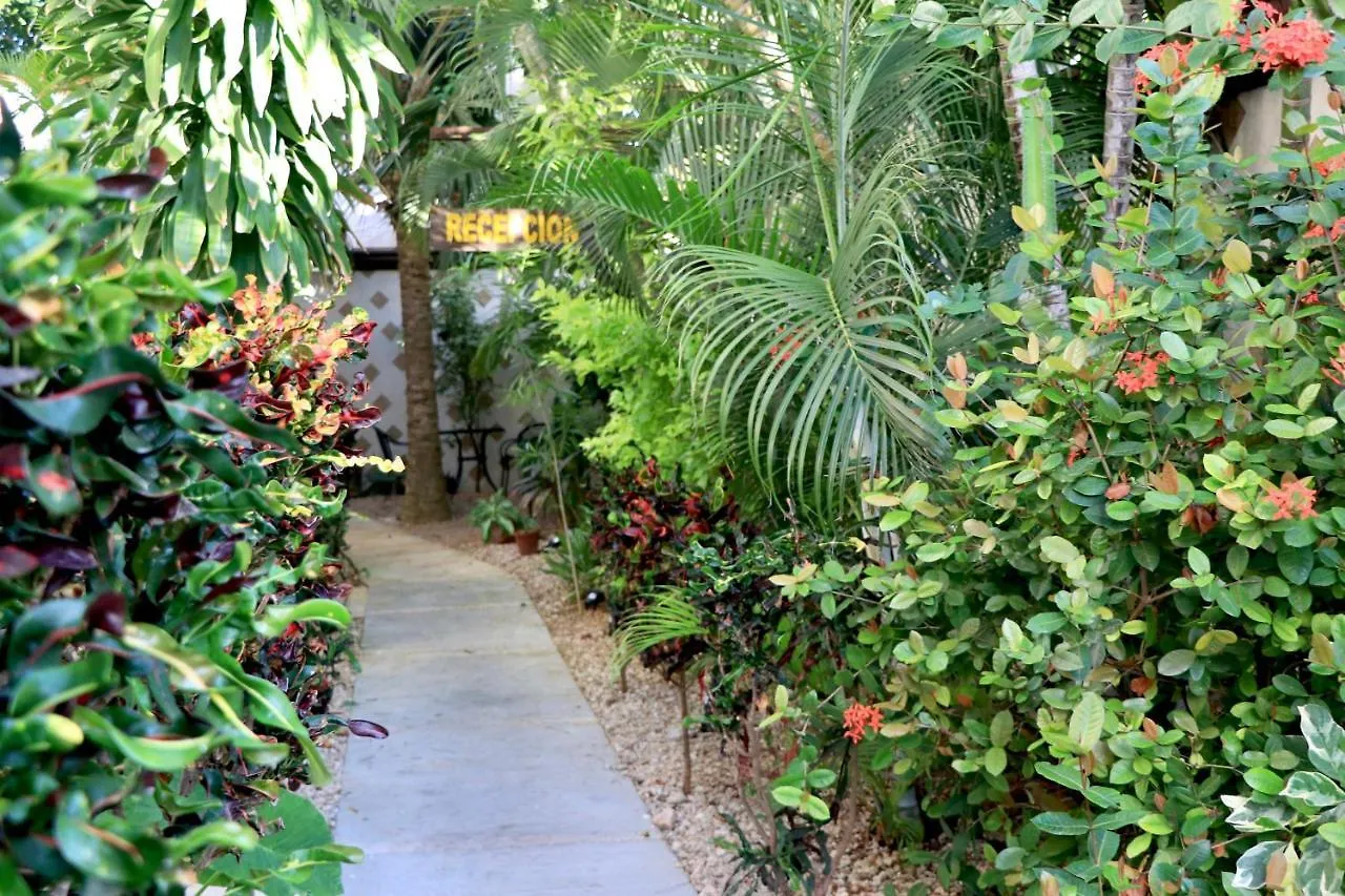 10 Avenue, 1 Min Walking To The 5 Av & Beach Suite 4 Playa del Carmen Appartamento