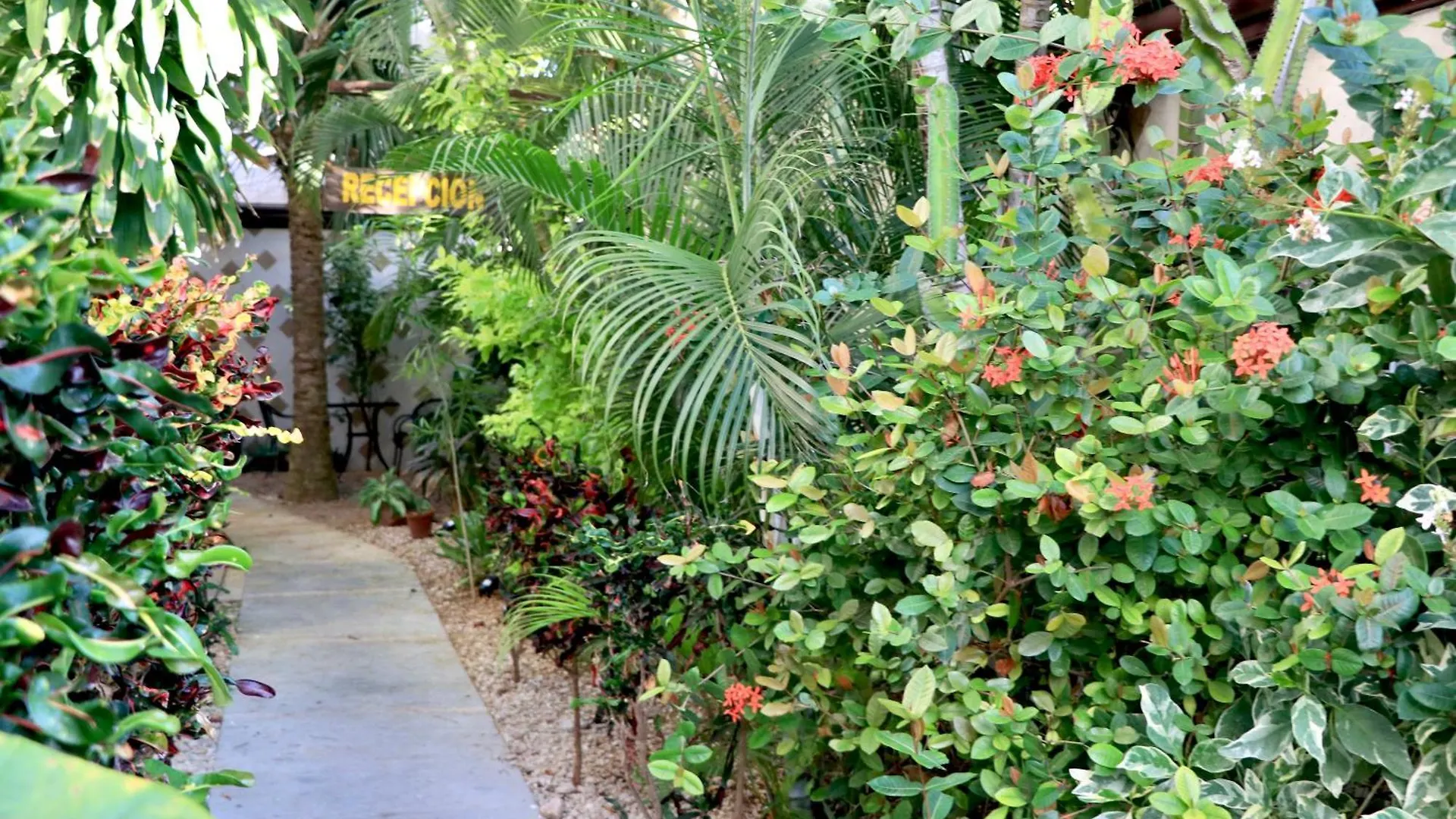 Appartamento 10 Avenue, 1 Min Walking To The 5 Av & Beach Suite 4 Playa del Carmen