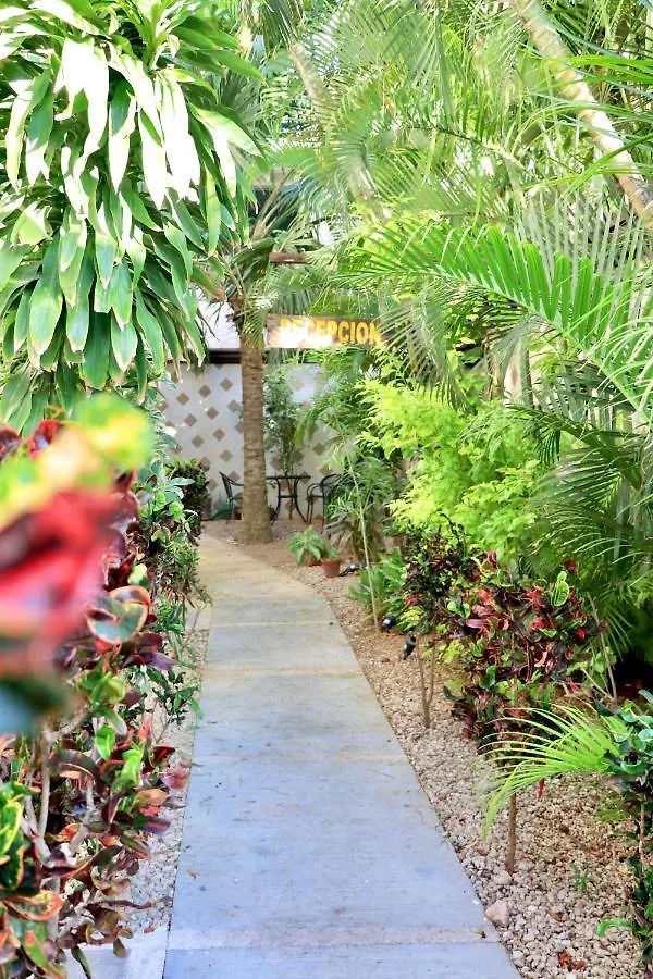 Appartamento 10 Avenue, 1 Min Walking To The 5 Av & Beach Suite 4 Playa del Carmen